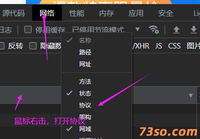 如何判断网站是否启用了HTTP/2协议
